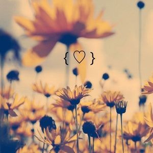 Meet your Posher, Kiley